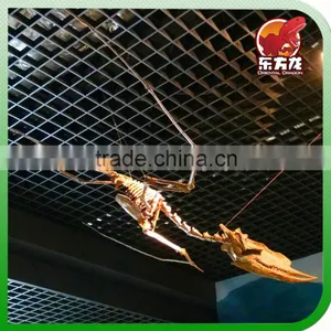 Animatronic Dinosaur Skeleton Equipment thumbnail-1