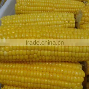 Canned Sweet Corn thumbnail-4