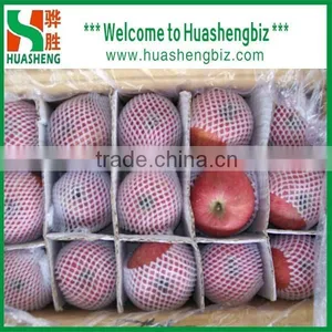 China 9kg-20kg Carton Fresh Fuji Apple thumbnail-2