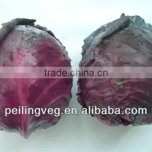New Artificial Purple Round Cabbage thumbnail-1