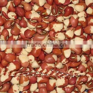 Speckled Cowpea thumbnail-1