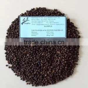 BLACK PEPPER thumbnail-2
