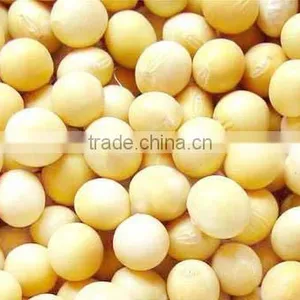 Soy Fiber Non GMO thumbnail-1
