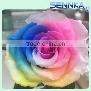 Handcraft Real Natural Colorful Preserved Dried Rose Flower in Gift Box thumbnail-1