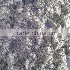 Cotton Seed Hull thumbnail-2