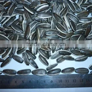 Amercain Sunflower Seeds thumbnail-1