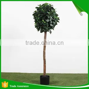 Mini Bonsai Artificial Ficus Trees thumbnail-2