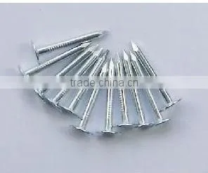 Clout Nails for Building thumbnail-1