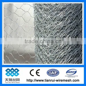 Chicken Wire/hexagonal Wire Mesh (factory) thumbnail-1
