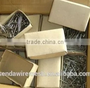 Common Nails/roofing Nails /iron Nails thumbnail-3