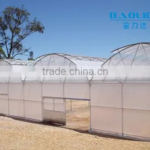 Multi-span pe Film Green House Tomato Green House Pepper Greenhouse thumbnail-2