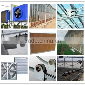 Cheap Multi-span Plastic Greenhouse for Fruits thumbnail-6