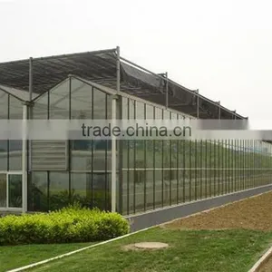 Commercial Greenhouse for Agriculture thumbnail-6