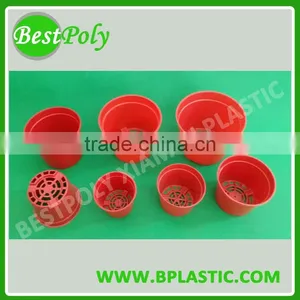 Black Forestry Plastic Seedling Tray Cells Seedling Tray thumbnail-1