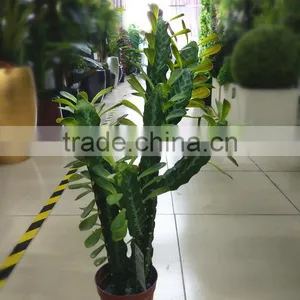 CHY030926 Artifiical 70cm Cactus Modern Home Decoration thumbnail-1