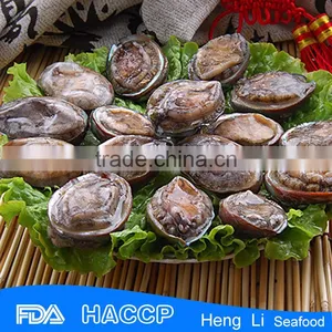 Frozen Taiwan Abalone With Shell thumbnail-1