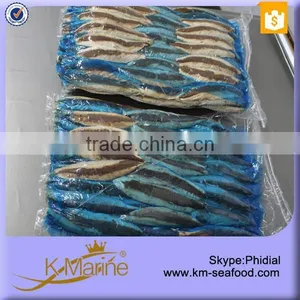 Precooked Mackerel Filet For Canned Mackerel thumbnail-1