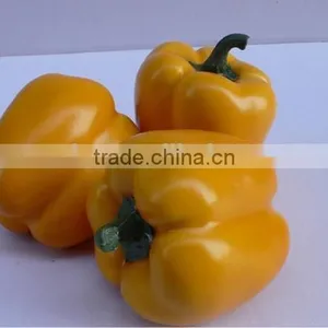 3 Realistic Artificial Bell Peppers Fake Faux Fruits and Vegetables thumbnail-1