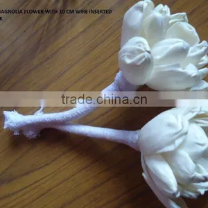Sola Magnolia Flower thumbnail-1