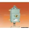 Explosion-Proof Ballasts thumbnail-1