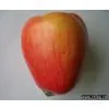Artificial Vegetable thumbnail-1
