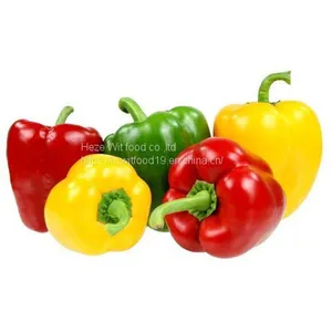 IQF Pepper Dices 10*10MM 6*6MM DICES thumbnail-2