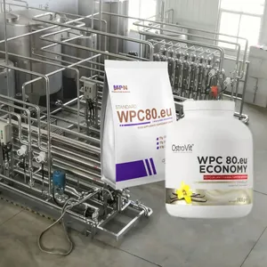 WPC80 Concentrated Whey Protein Powder Production Line Membrane Filtration Concentration Equipment thumbnail-2