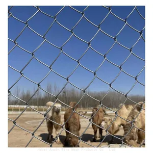 Factory Supply Galvanized Wire Mesh 50x50mm Diamond Chain Link 6 Foot Green Fencing for Sheep thumbnail-1
