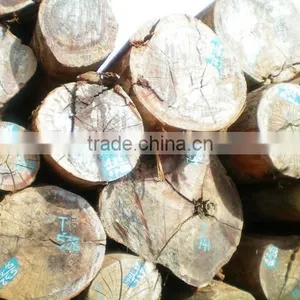 High Quality Comperative Price Laos Keruing Logs thumbnail-1