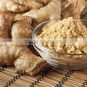 Nature Pure Ginger Powder Bulk Producers thumbnail-1