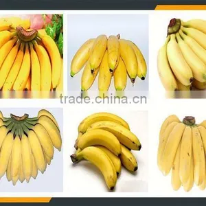Leader Plantain Peeler Whatsapp:+8618336073732 thumbnail-6
