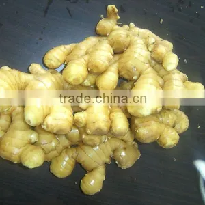 150g and up Fresh Ginger thumbnail-1