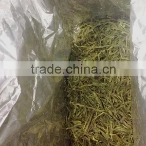 Long Jing Green Tea thumbnail-1