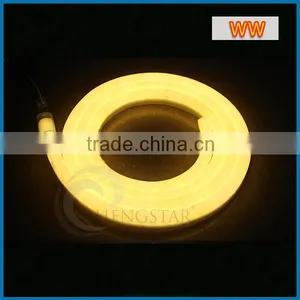 5M 300LEDs 24V 12V LED Neon Flex Digital Programmable Led Neon Flex Light thumbnail-4