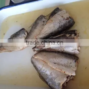 High Quality Canned Sardines in Brine thumbnail-4