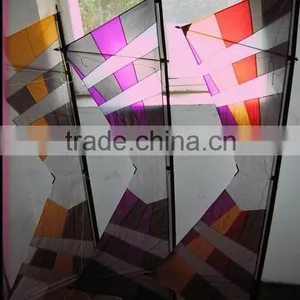 Revolution Kite thumbnail-1