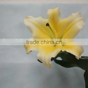 Most Popular Factory Direct Yellow Fresh Lilies thumbnail-3