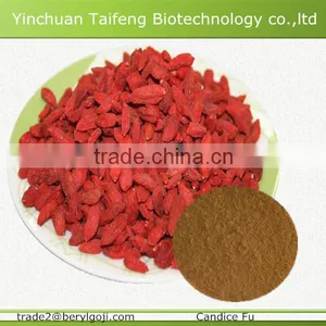 Avaliable Organic Dried Gojiberry Fruit thumbnail-2