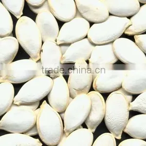 New 2016 Pumpkin Seeds In Shell thumbnail-1