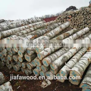 Baltic/Russian Birch Logs thumbnail-4