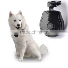 High-Tech Mini Pet Digital Camera for Your Pets thumbnail-4