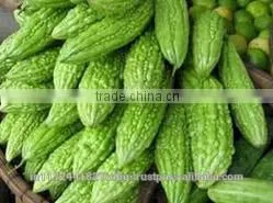 Fresh Indian Vegetables Exporter thumbnail-2