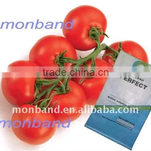High P2O5 Water Soluble Fertilizer NPK 13-40-13 thumbnail-1