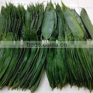 High Quality Bamboo Leaves for Sushi thumbnail-1