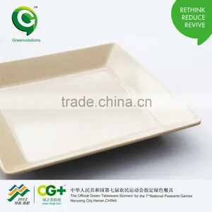 Fashion Design Biodegrable and Wholesale Simple Square Plate thumbnail-5