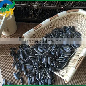 Sunflower Seeds 3638 thumbnail-4
