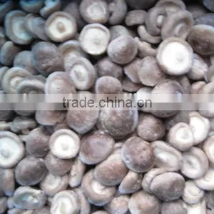 Hot Sell Fresh Frozen Mushroom thumbnail-4