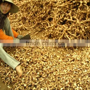 2015 New Crop Galangal Roots thumbnail-3