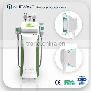 Hot Sale! High Quality Cryo Lipolysis/Vacuum Cryolipolysis Fat Removal Machine thumbnail-1