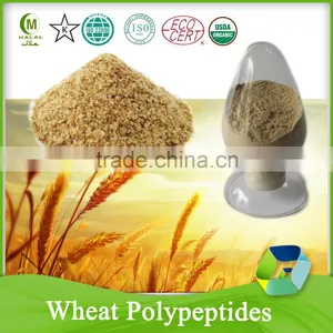 Wheat Polypeptides China Manufacturer thumbnail-1